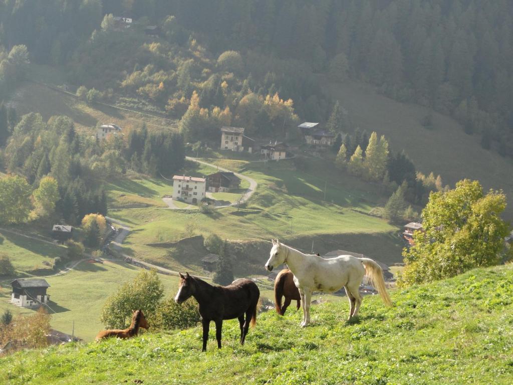 B&B Mas Di Zonadi Rabbi Dış mekan fotoğraf