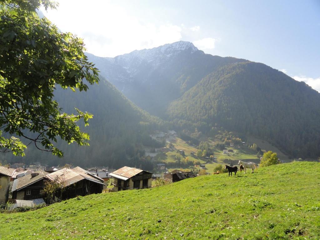 B&B Mas Di Zonadi Rabbi Dış mekan fotoğraf