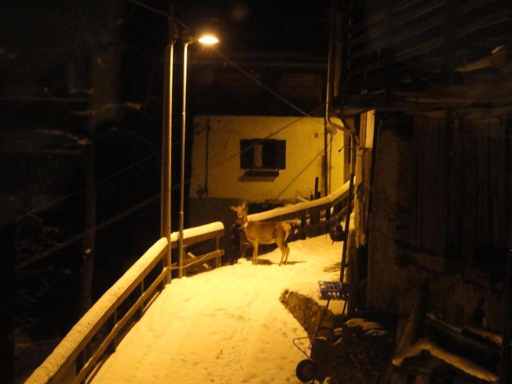 B&B Mas Di Zonadi Rabbi Dış mekan fotoğraf